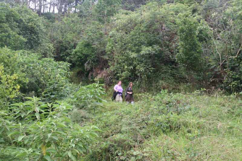 Nieuw-Zeeland 2011 - 0442